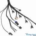 E36 Standalone wiring harness universal application. - 22RPD