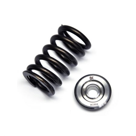 Brian Crower TB48 Single Spring & Titanium Retainer Kit | BC0250