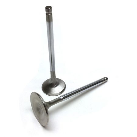 Brian Crower VQ35DE Intake Valves | BC3224