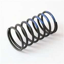 Turbosmart 2011 WG38/4045 10PSI Outer Spring Brown/Blue