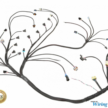 E36 Standalone wiring harness universal application. - 22RPD