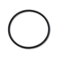 Vibrant Replacement O-Ring for 4″ Weld Fittings