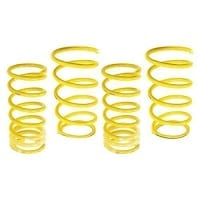 ST Suspensions Sport-tech Lowering Springs BMW E30 Convertible; Strut 2.0 / 51mm
