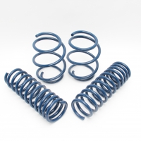 Dinan Performance Spring Set -BMW M5 06-10