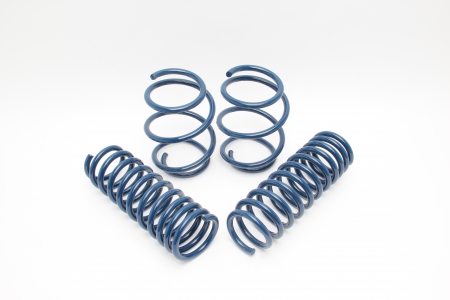 Dinan Performance Spring Set -BMW M5 06-10