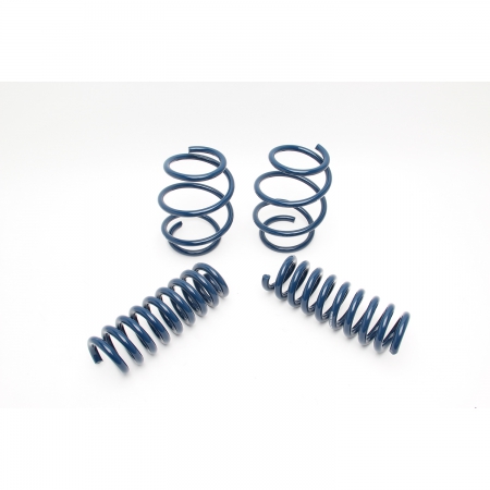 Dinan Performance Spring Set -BMW 228i 14-16, 428i 14-16