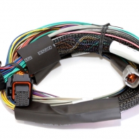 Haltech Elite 1500 8′ Basic Universal Wire-in Harness