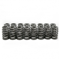 Brian Tooley Racing BTR .560″ LS6 BEEHIVE VALVE SPRING SET – SP011-16