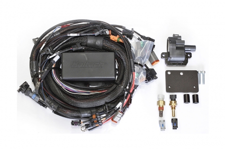 Haltech Nissan RB30 Single Cam Elite 2000/2500 Terminated Harness (w/EV1 Injector Connectors)