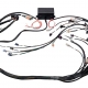 Haltech GM GEN IV LSX (LS2/LS3 Non DBW) Elite 2000/2500 Terminated Harness w/EV1 Inj Connectors