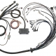 Haltech GM GEN IV LSX (LS2/LS3) DBW Ready Elite 2500 Terminated Harness w/EV6 Injector Connectors