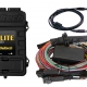 Haltech Elite 2500 Basic Universal Wire-In Harness ECU Kit