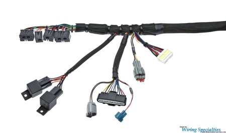 Wiring Specialties Universal / Standalone Wiring Harness for a 1JZGTE VVTi Swap – PRO SERIES