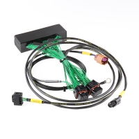 Boomslang Haltech Elite 2500 Manual Wiring Harness – 1994-1995 Ford Mustang 5.0L