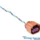 Wiring Specialties EV6 / EV14 / USCAR Injectors Injector Connector