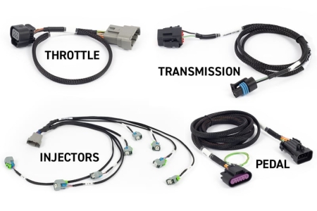 Haltech NEXUS Rebel LS Kit (Suits Gen IV) 6-Pin DBW Throttle/EV6 Injectors/Manual Transmission